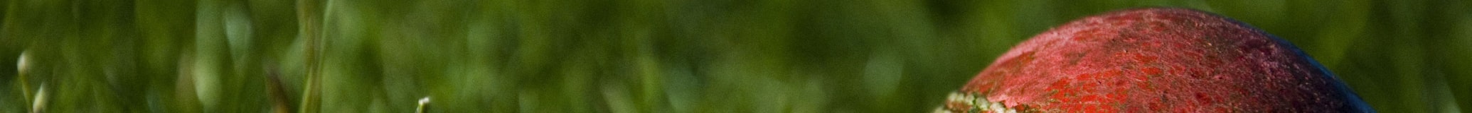 詹姆斯惊天追帽伊戈达拉经典防守回放