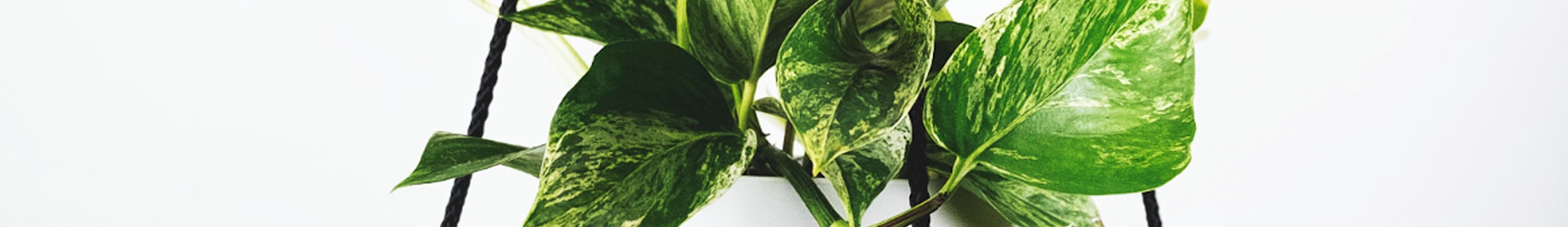 欧冠半决赛皇家马德里对阵曼城高清直播画面